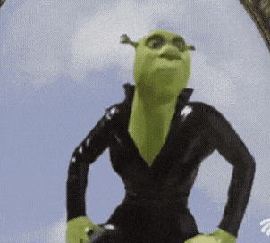 Shrek Dance GIF