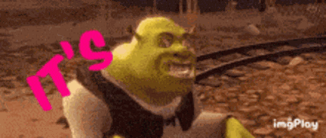 Shrek It GIF