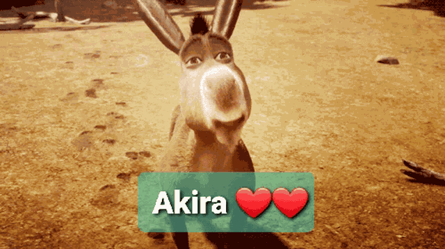 Shrek Meme Shrek GIF