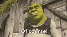 Shrek Of Course GIF