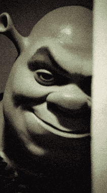 Shrek Shrek Meme GIF