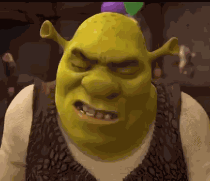 Shrek Shrek Meme GIF