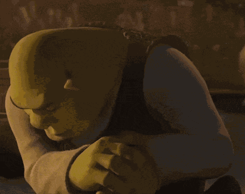 Shrek Shrek Meme GIF
