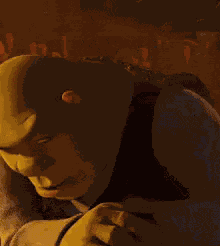 Shrek Shrek Meme GIF