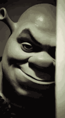 Shrek Smile Evil Smirk GIF