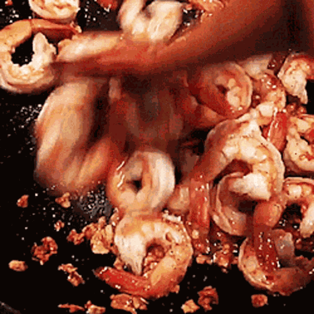 Shrimp Food GIF