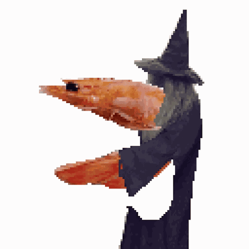 Shrimp Magic GIF