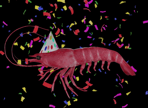 Shrimp Shrimp Tank GIF