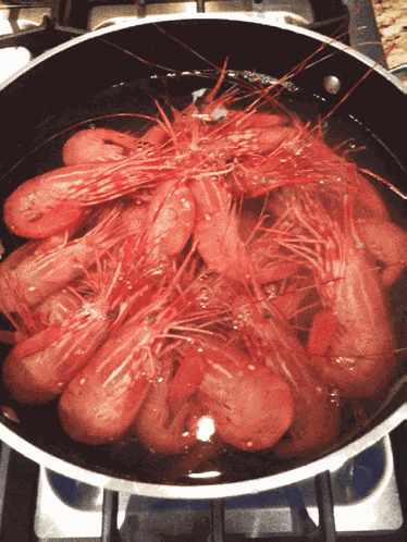 Shrimps Food GIF