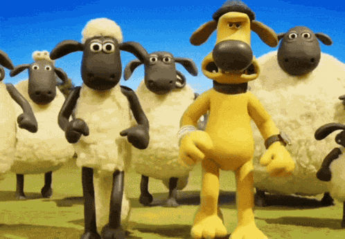 Shuan Sheep GIF