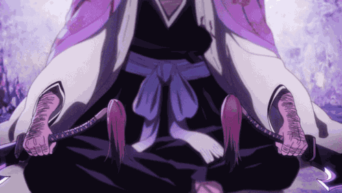 Shunsui Kyōraku Bankai GIF