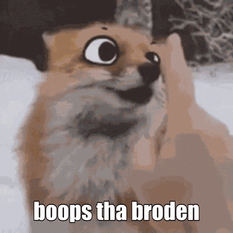 Shut Paw GIF