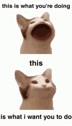 Shut Up Cat GIF