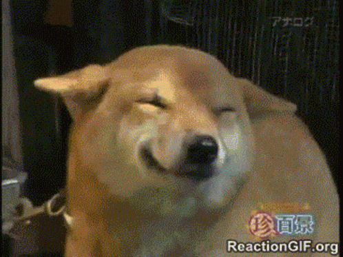 Shy Smile GIF