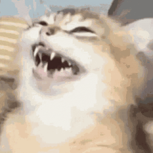 Sia GIF