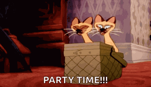 Siamese Cats GIF