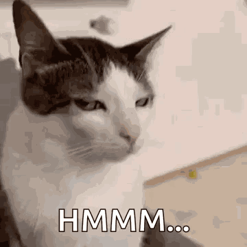 Side Eye Hmm GIF