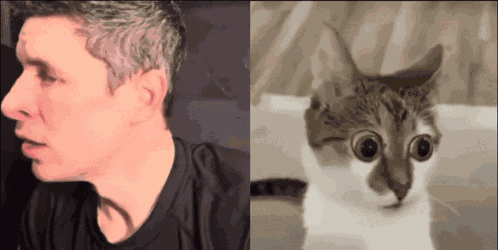 Sidney Crosby Big Eyes Stare At The Camera GIF