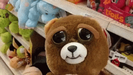 Siege Angry GIF