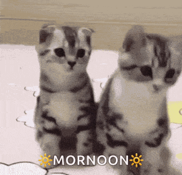 Sigma GIF