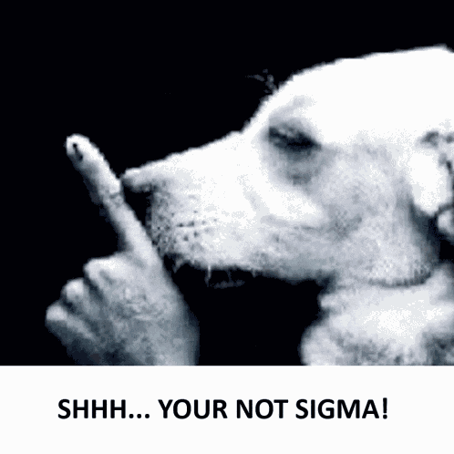 Sigma Dog Meme Meme