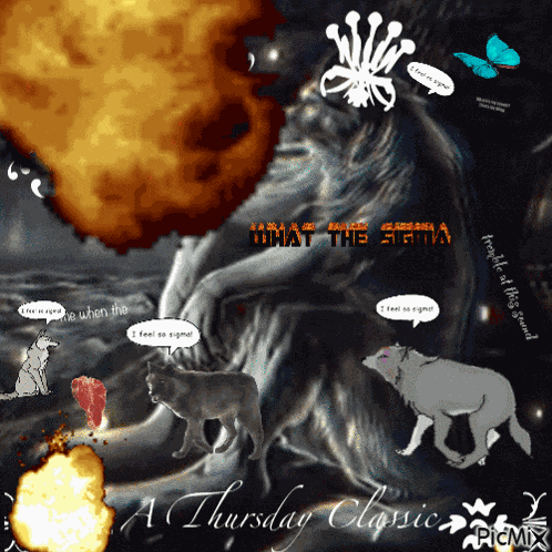 Sigma Thursday GIF