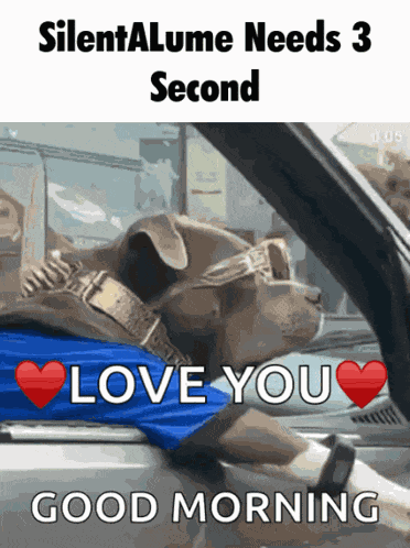 Silentalume GIF
