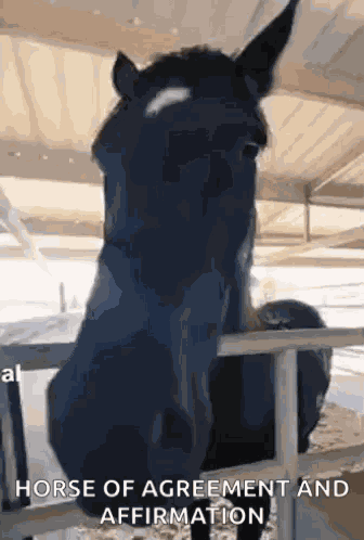 Silly Funny GIF