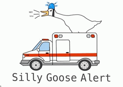 Silly Goose GIF