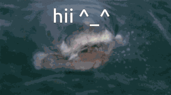 Silly Hi GIF