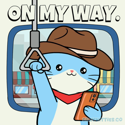 Silly Kitties Silly Cat GIF
