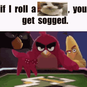 Sillyfuny Soggy Cat GIF