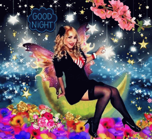 Silviane Moon Boa Noite GIF