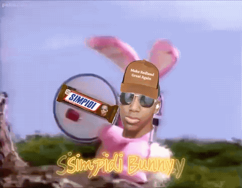 Simpi Leonardo Da Simpi GIF