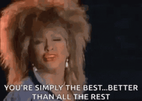 Simply The Best Tina Turner GIF