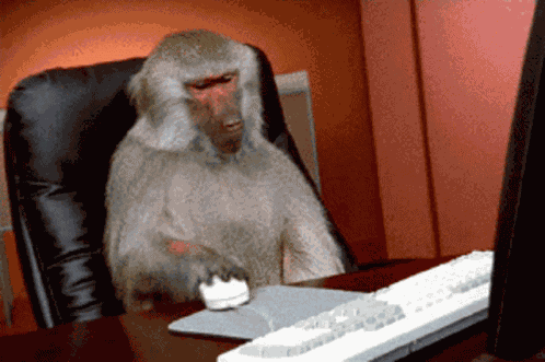 Singe Monkey GIF