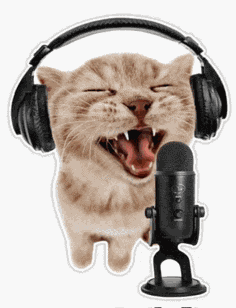 Singing Cat Meme