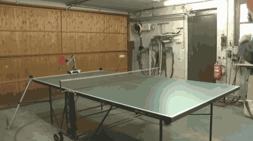 Singles Ping Pong GIF