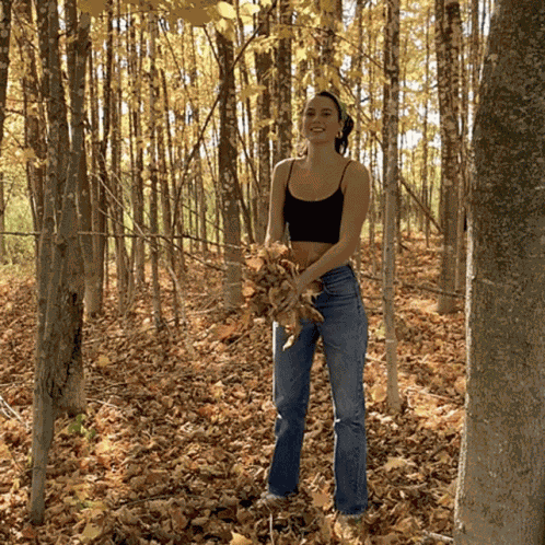 Sisi Brave Sierra Brave GIF