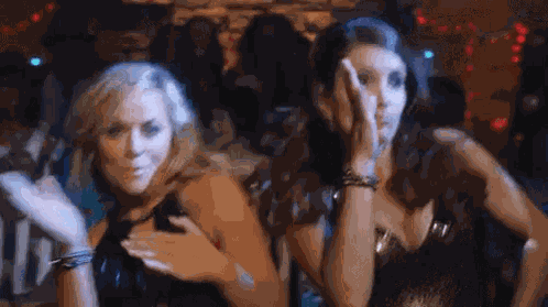 Sisters Amy Poehler GIF