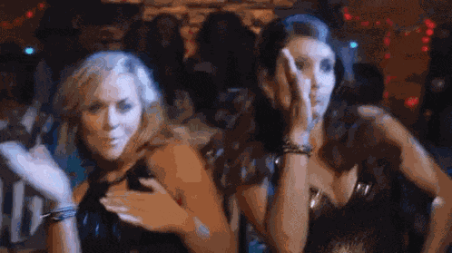 Sisters Amy Poehler GIF