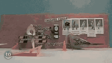 Skateboarding Cool GIF