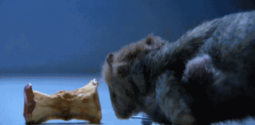 Skaven Rat GIF