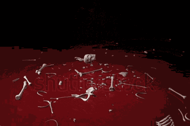 Skeleton Dance Skelly GIF