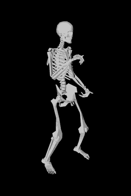 Skeleton Dancing Skeleton GIF