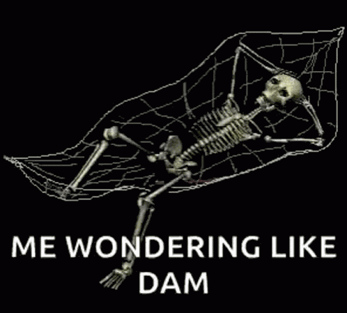 Skeleton Me Wondering Like Dam GIF