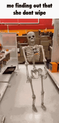 Skeleton Meme Fall GIF