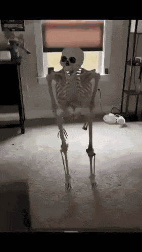 Skeleton Meme Skeleton GIF