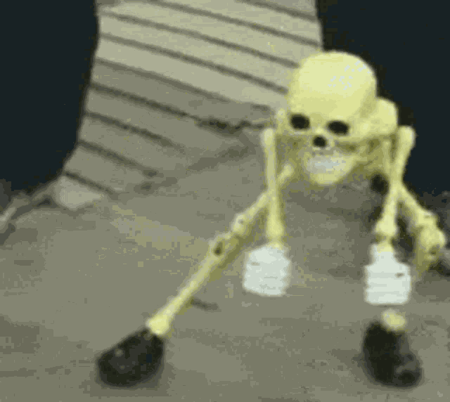 Skeleton Meme GIF