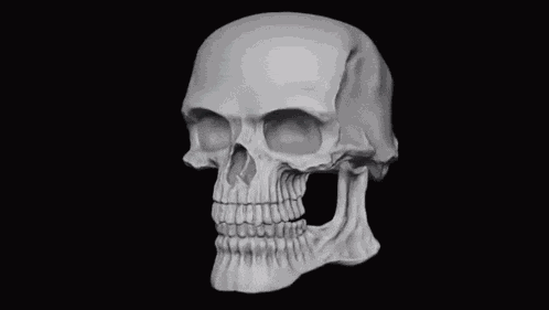 Skeleton Smile GIF